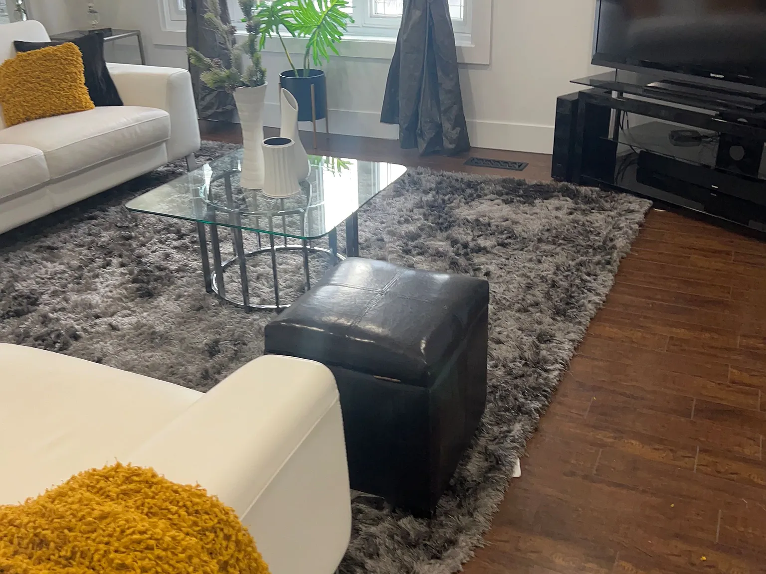 2 bed, $2,950 — Photo 2