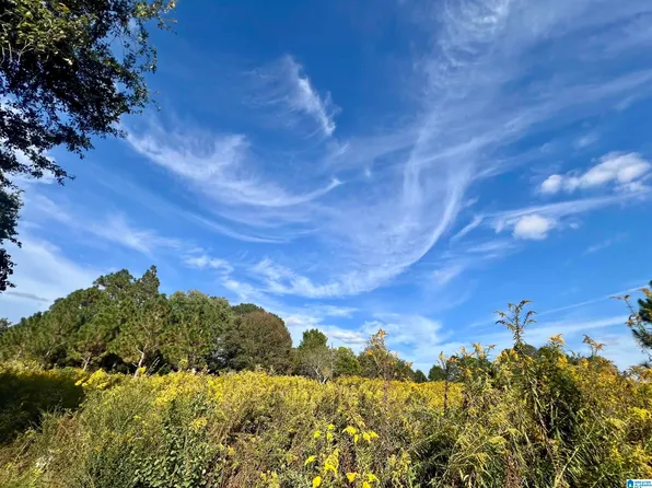 0 County Road 504 #0, Graham, AL 36263