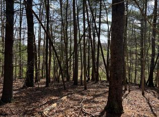 0 Level Bottom Rd NE, Check, VA 24072