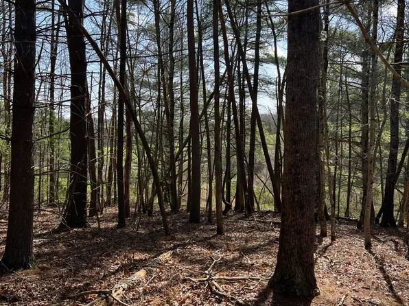 0 Level Bottom Rd NE, Check, VA 24072