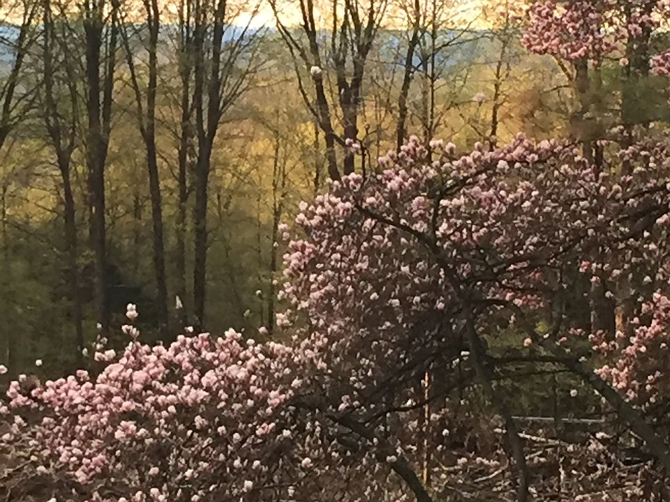 Mountain view Spring & Fall