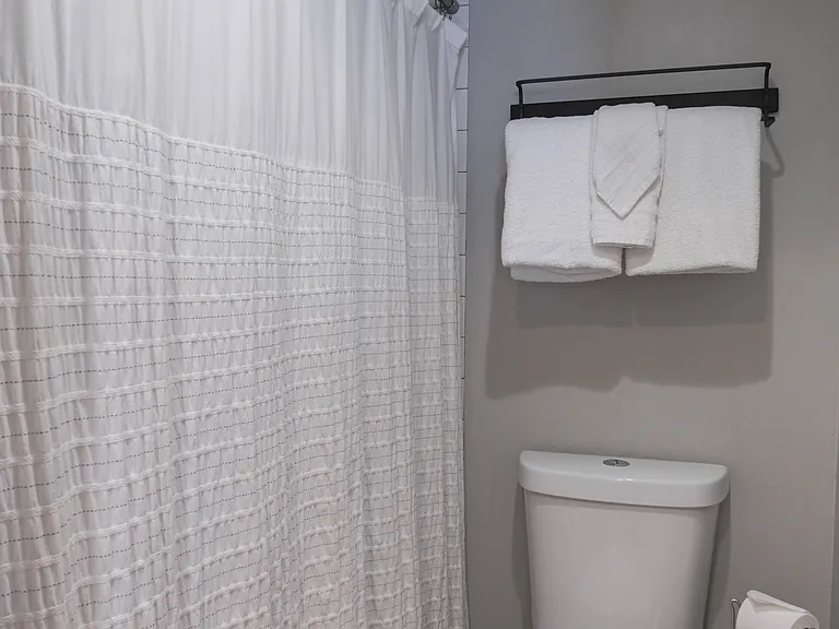 Downstairs bathroom and shower