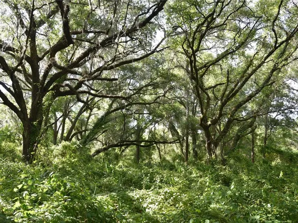 SE County Road 2082, Hawthorne, FL 32640