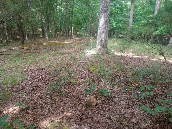 Off Of Lawrence #106, Ravenden, AR 72459