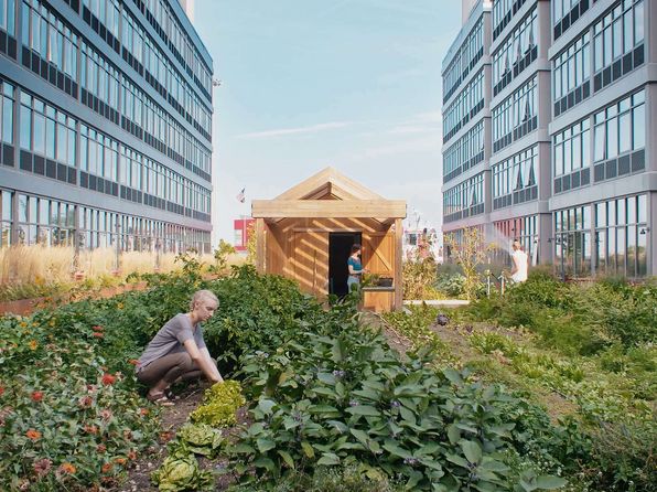 7 Navy Pier Ct Unit 5081