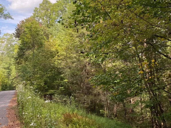 LOT 58 Gobblers Knob, Suches, GA 30572