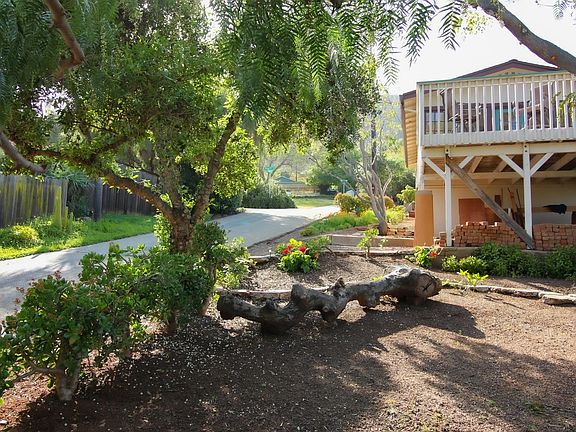 Lovely Mature Trees - Nice Big Front Yard
