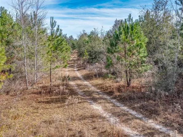 Roland Harvey Rd, Crawfordville, FL 32327
