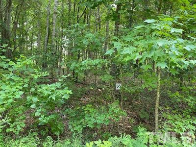 LOT-26A Laurel Ridge Dr, Snow Camp, NC, 27349