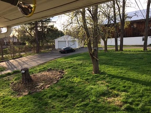 Another backyard view