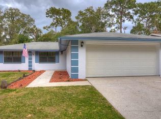 616 Sandy Creek Dr, Brandon, FL 33511