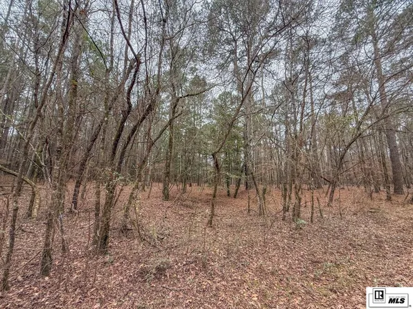 0 Bull Creek Rd, Bernice, LA 71222