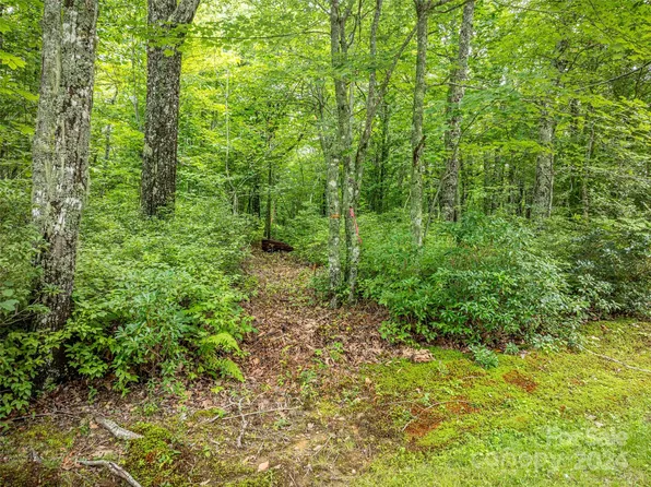 0 Panthertown Rd #38R, Lake Toxaway, NC 28747
