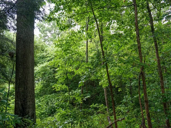 Meacham Rd, Ray, OH 45672