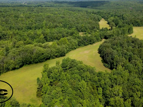 0 Bullman Rd, Finger, TN 38334