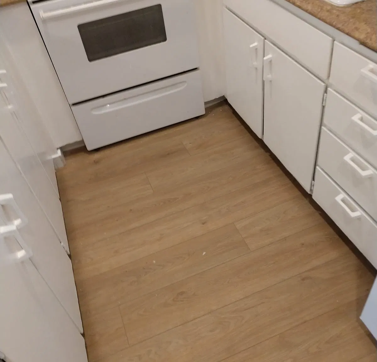 1 bed, 506 sqft, $2,300 — Photo 4