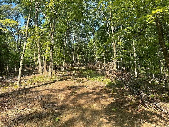 5th image of 0 Chateau View Dr