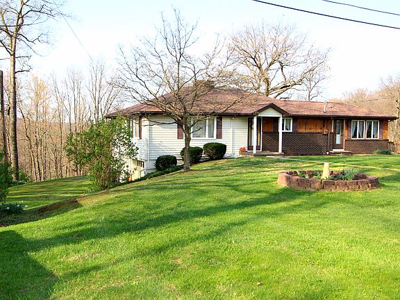 Northeast Corner of Yard