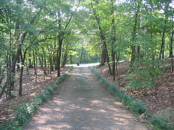 View Down Driveway From House