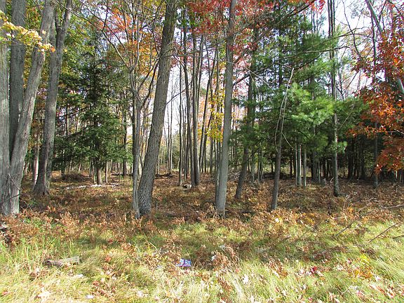 4th image of 1881 B W. Houghton Lake Dr