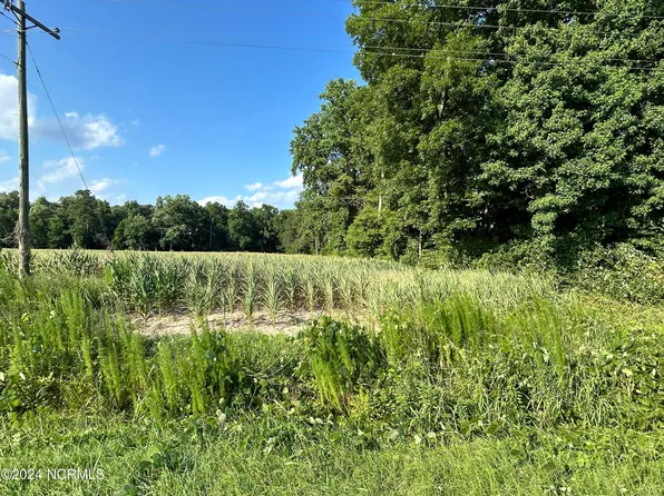 11289 Taylors Bridge Hwy Highway, Magnolia, NC 28453