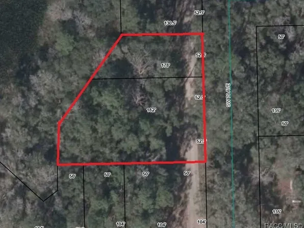 0 SW 79th Ave, Bell, FL 32619