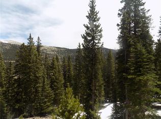 1368 Quartzville Rd, Alma, CO 80420