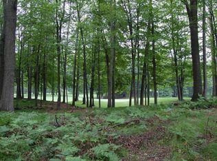 10086 Saint Ives Dr, Stanwood, MI 49346