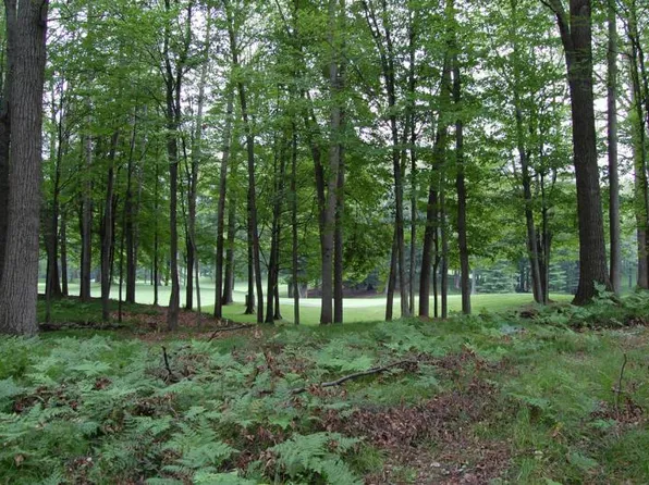 10086 Saint Ives Dr, Stanwood, MI 49346