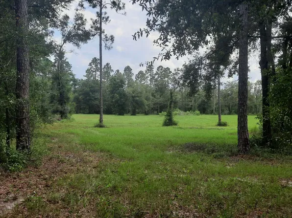 0 County Road 252, Wellborn, FL 32094