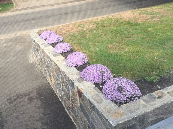 Rebuilt retaining walls