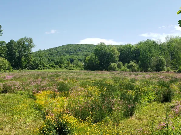45 Washington Mountain Rd, Dalton, MA 01226