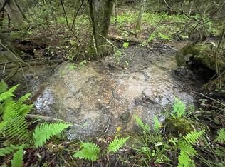 Lots 29a & 30b Dolores Dr, Mineral Bluff, GA 30559