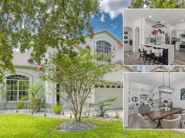 13207 Royal George Ave, Odessa, FL 33556