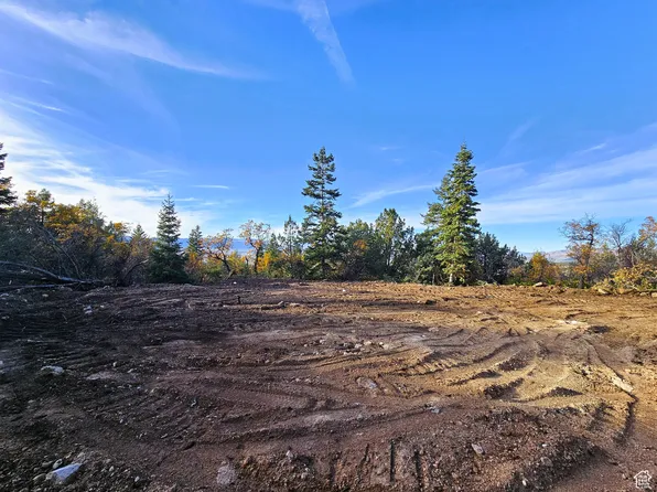 13 Pine Crest Dr, Fairview, UT 84629