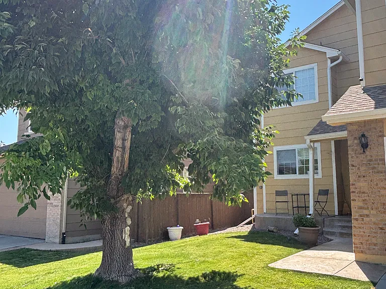Weeping Willow Ct — Photo 7