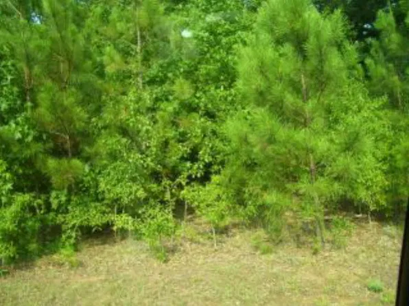 215 Gilleland Dr, Athens, GA 30606