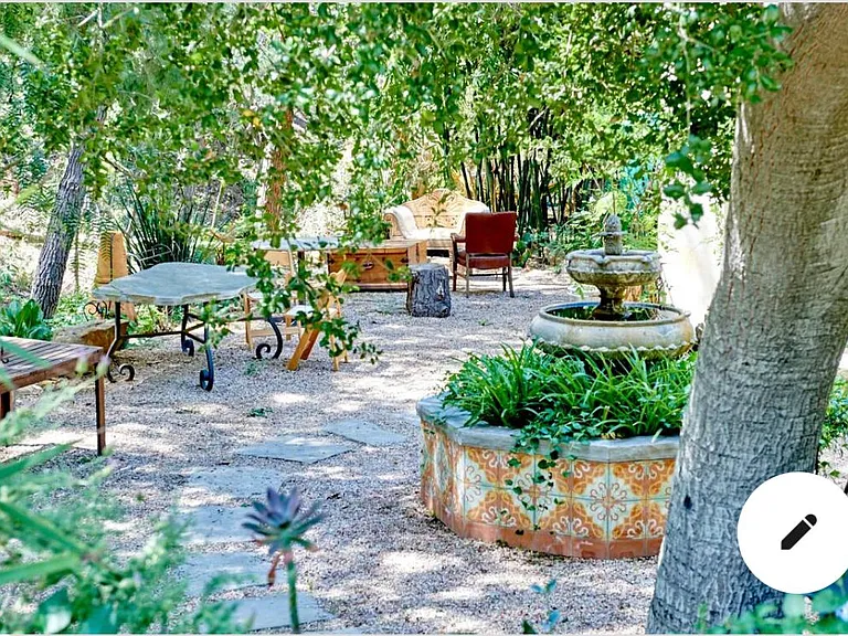 Front yard