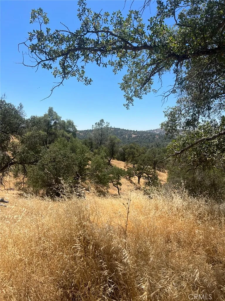0 Deep Forest Dr Lot 599 photo 1