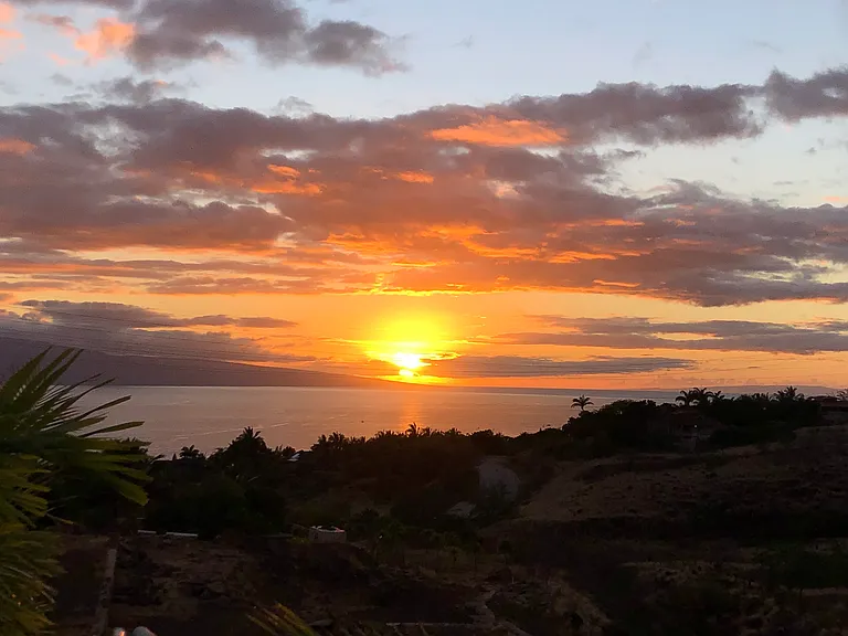 Iliahi Way — Photo 10