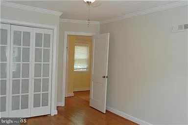 3305 Camalier Dr — Photo 8