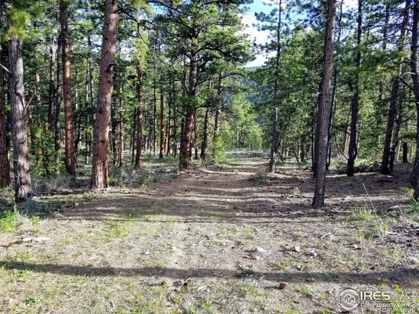 49 Pine Dr, Lyons, CO 80540