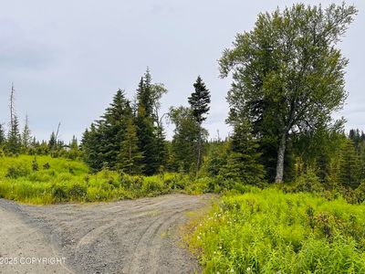 31315 Birch Haven Rd, Anchor Point, AK, 99556