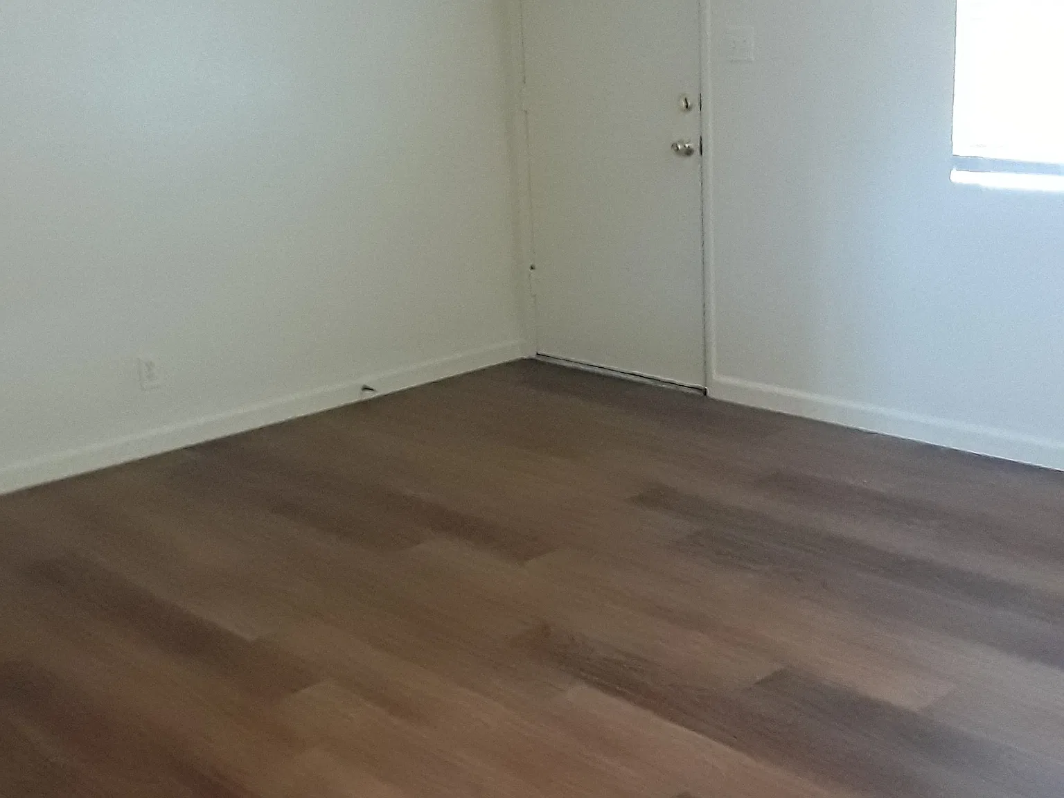 1 bed, 590 sqft, $1,050 — Photo 2
