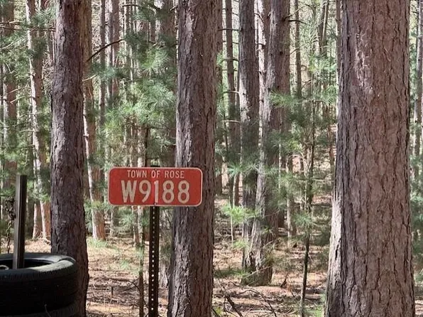 W9188 Olaf Ct, Wautoma, WI 54982