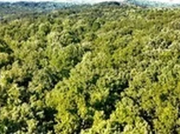 0 Dawsonville Hwy, Dawsonville, GA 30534