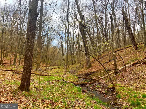 LOT 19 Sec 14 High Knob Rd, Old Fields, WV 26845
