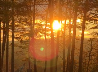 99999 Blue Ridge St, Blue Ridge, GA 30513