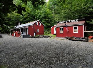 334 Lulu Coon Rd, Otego, NY 13825