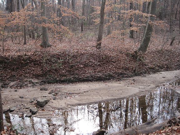 Creek on back yard and view to wooded side of Robert L. Smith District Park